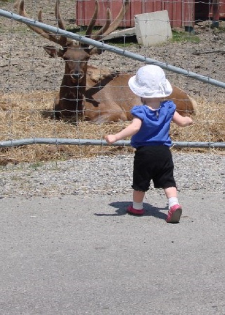 A toddler at a zoo.