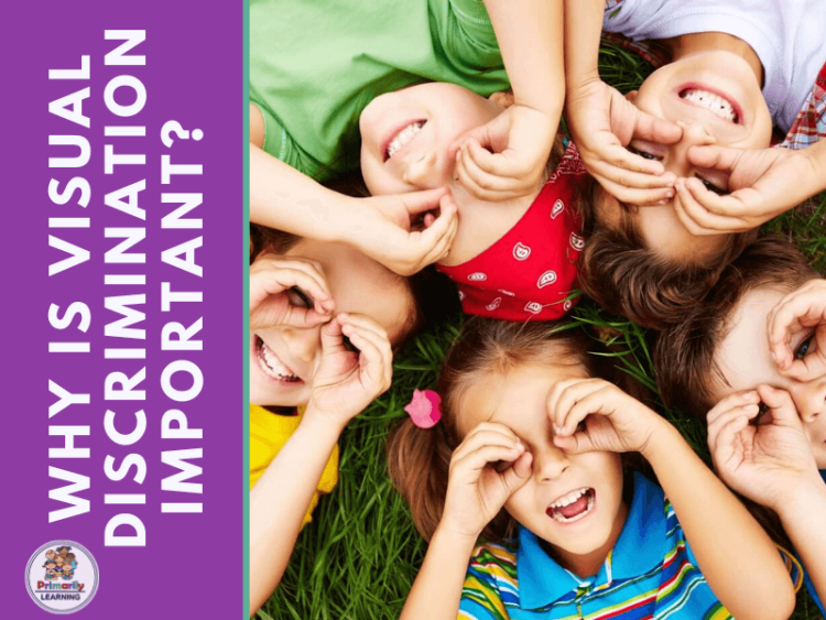 why is visual discrimination important?