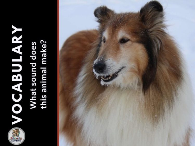 A dog barking. Kids listening to animal sounds.