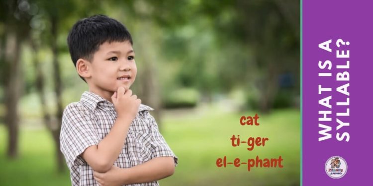 A child is wondering how many syllables are in ti-ger, cat or el-e-phant?