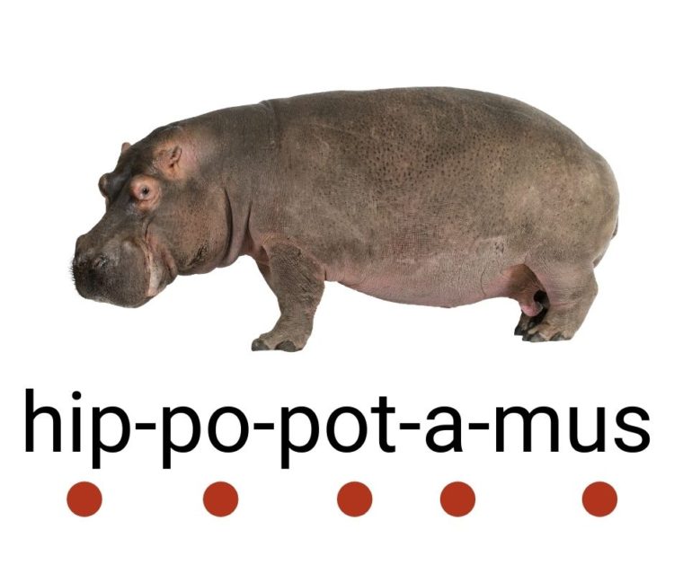 a five syllable word - hippopotamus