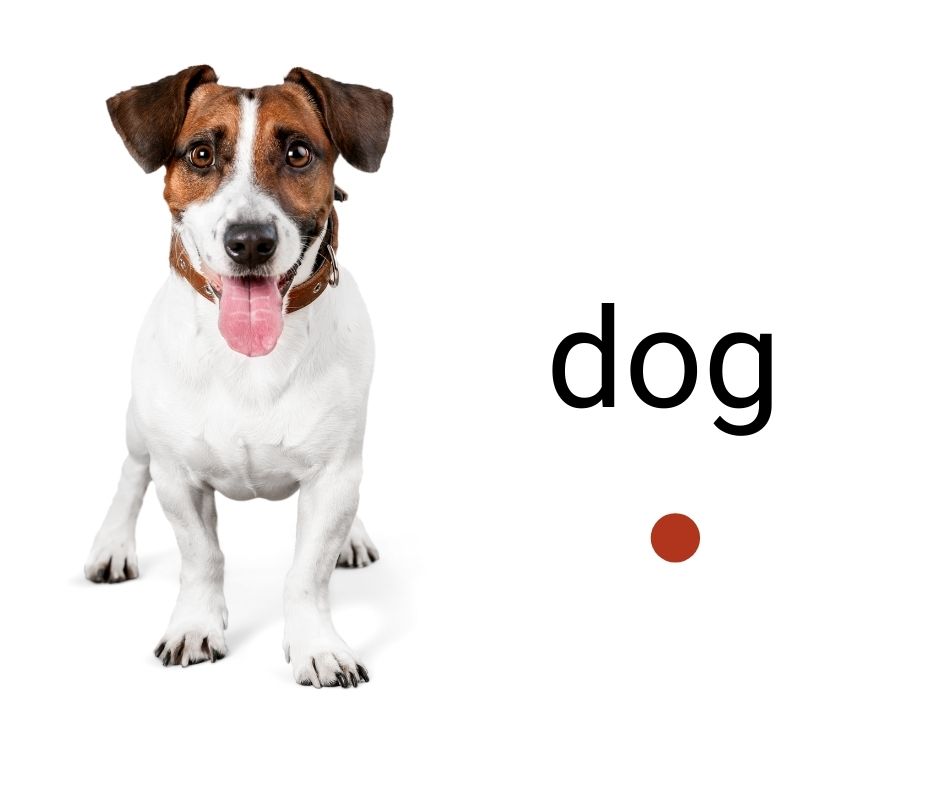 Master Syllable Rules to Help Kids Learn to Read Divide Words into