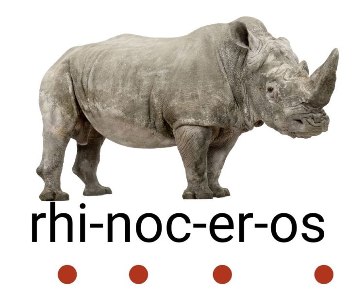 a picture of a rhinoceros