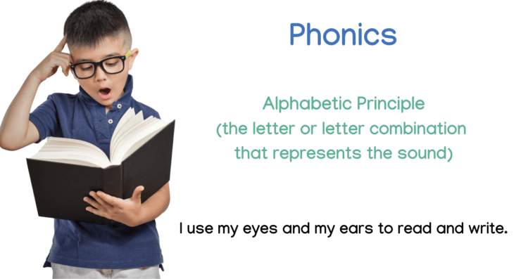 A child reading a book. Phonological Awareness vs Phonics.