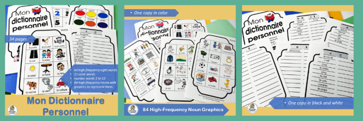 French sight word and picture dictionary.