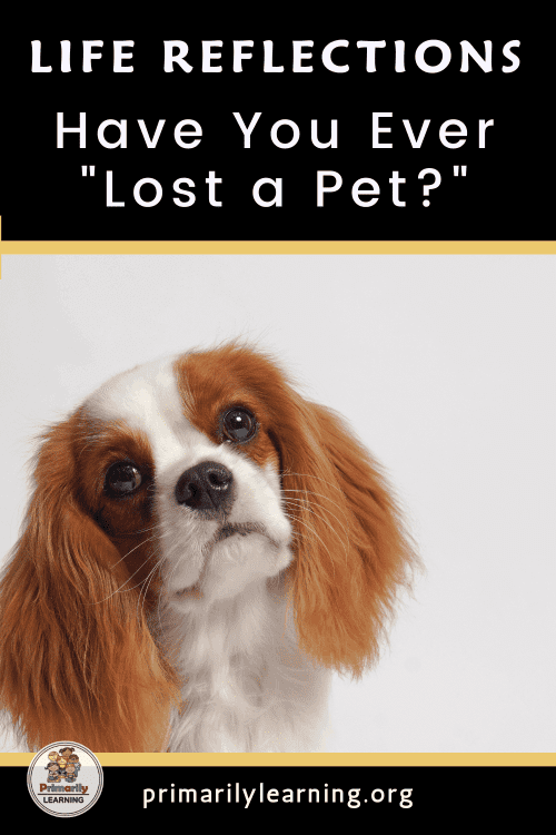 A picture of a pet dog who want to be your friend.