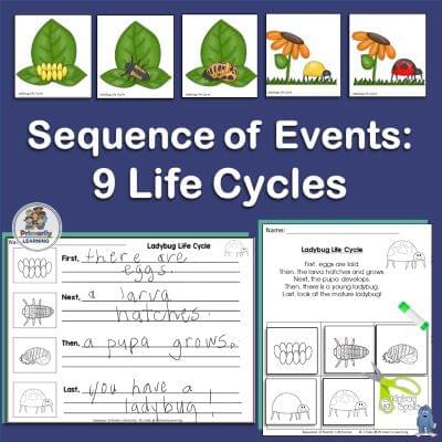 9 life cycle sequences